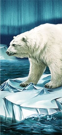 Иллюстрация с белым медведем на упаковку мороженого "Мишка на полюсе".